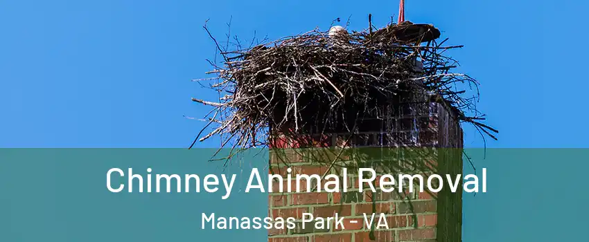  Chimney Animal Removal Manassas Park - VA