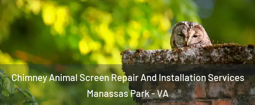  Chimney Animal Screen Repair And Installation Services Manassas Park - VA