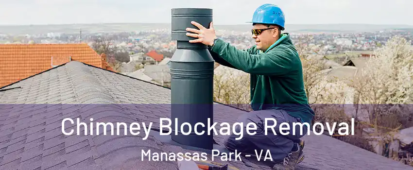  Chimney Blockage Removal Manassas Park - VA