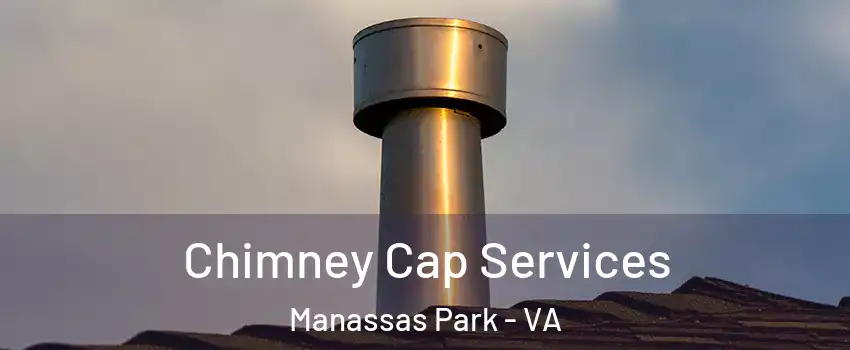  Chimney Cap Services Manassas Park - VA