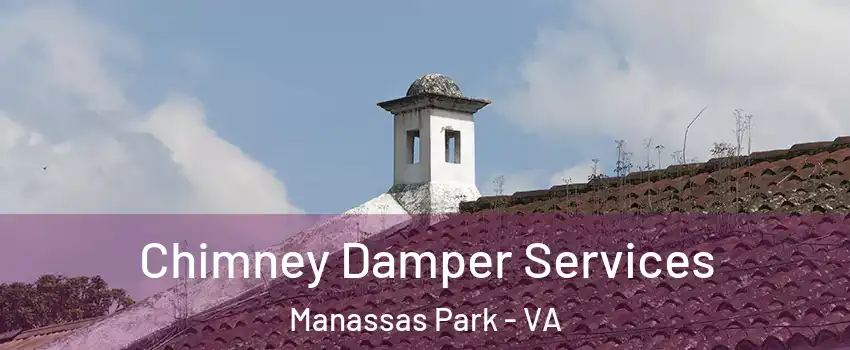  Chimney Damper Services Manassas Park - VA