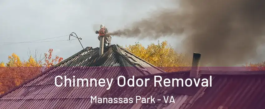  Chimney Odor Removal Manassas Park - VA