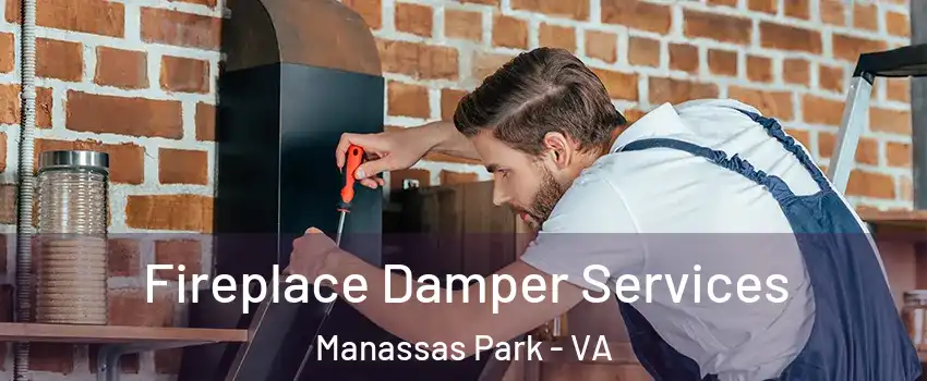  Fireplace Damper Services Manassas Park - VA