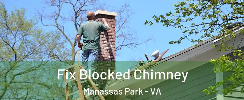  Fix Blocked Chimney Manassas Park - VA