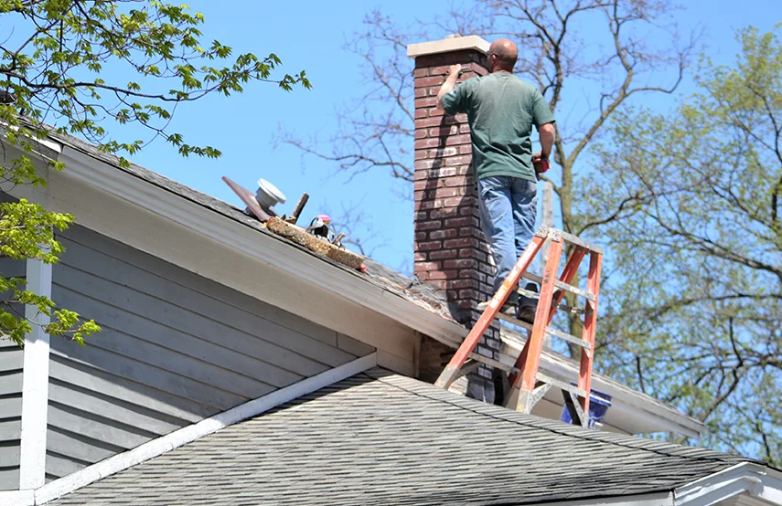 Chimney & Fireplace Inspections Services in Manassas Park, VA