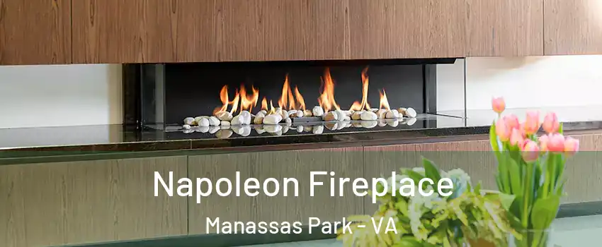  Napoleon Fireplace Manassas Park - VA