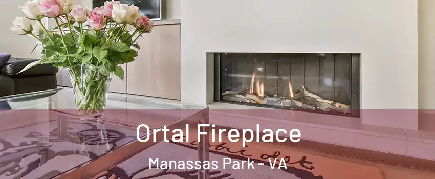  Ortal Fireplace Manassas Park - VA